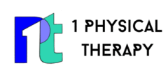 1 Physical Therapy